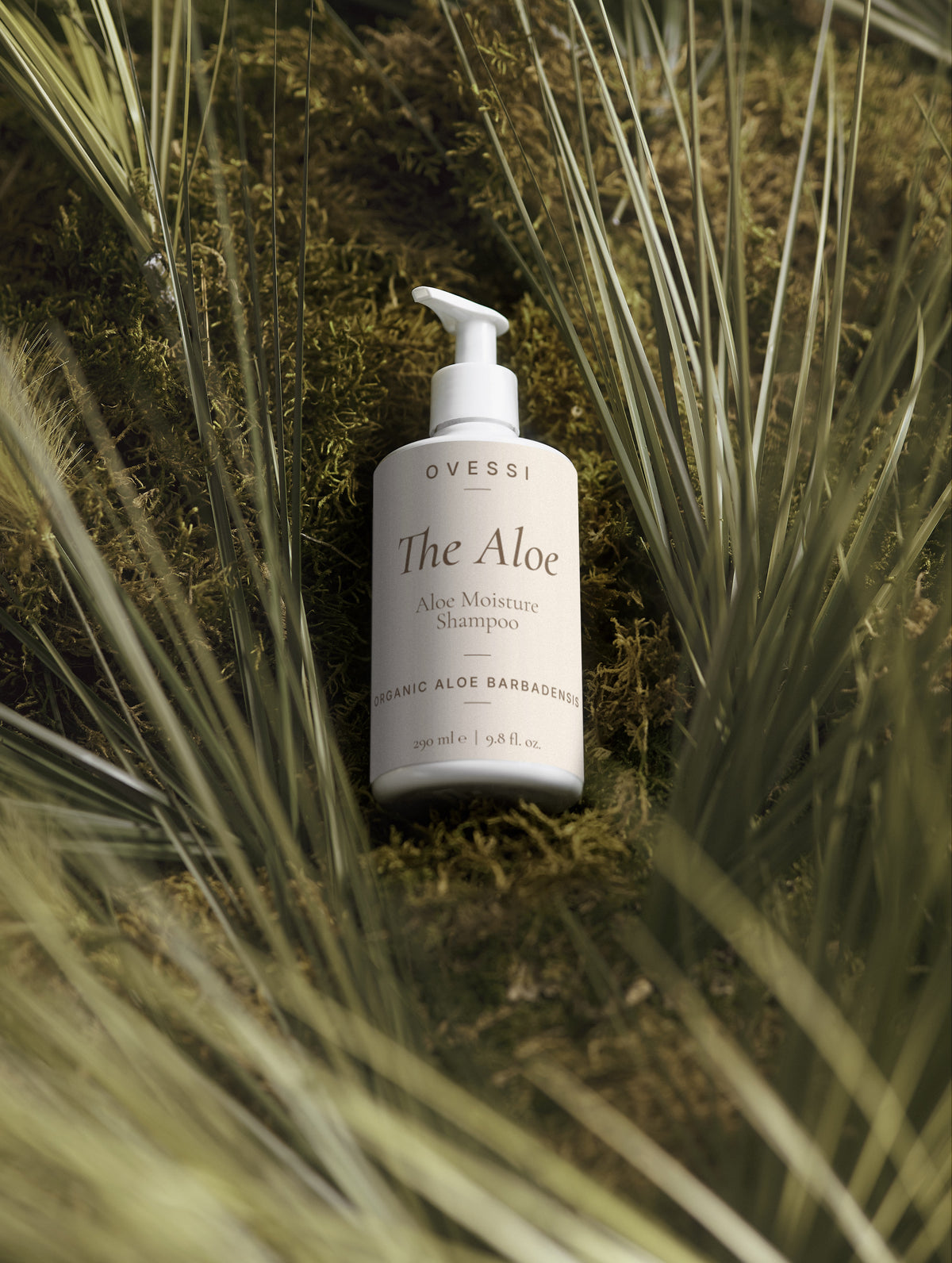 The Aloe : Aloe Moisture Shampoo