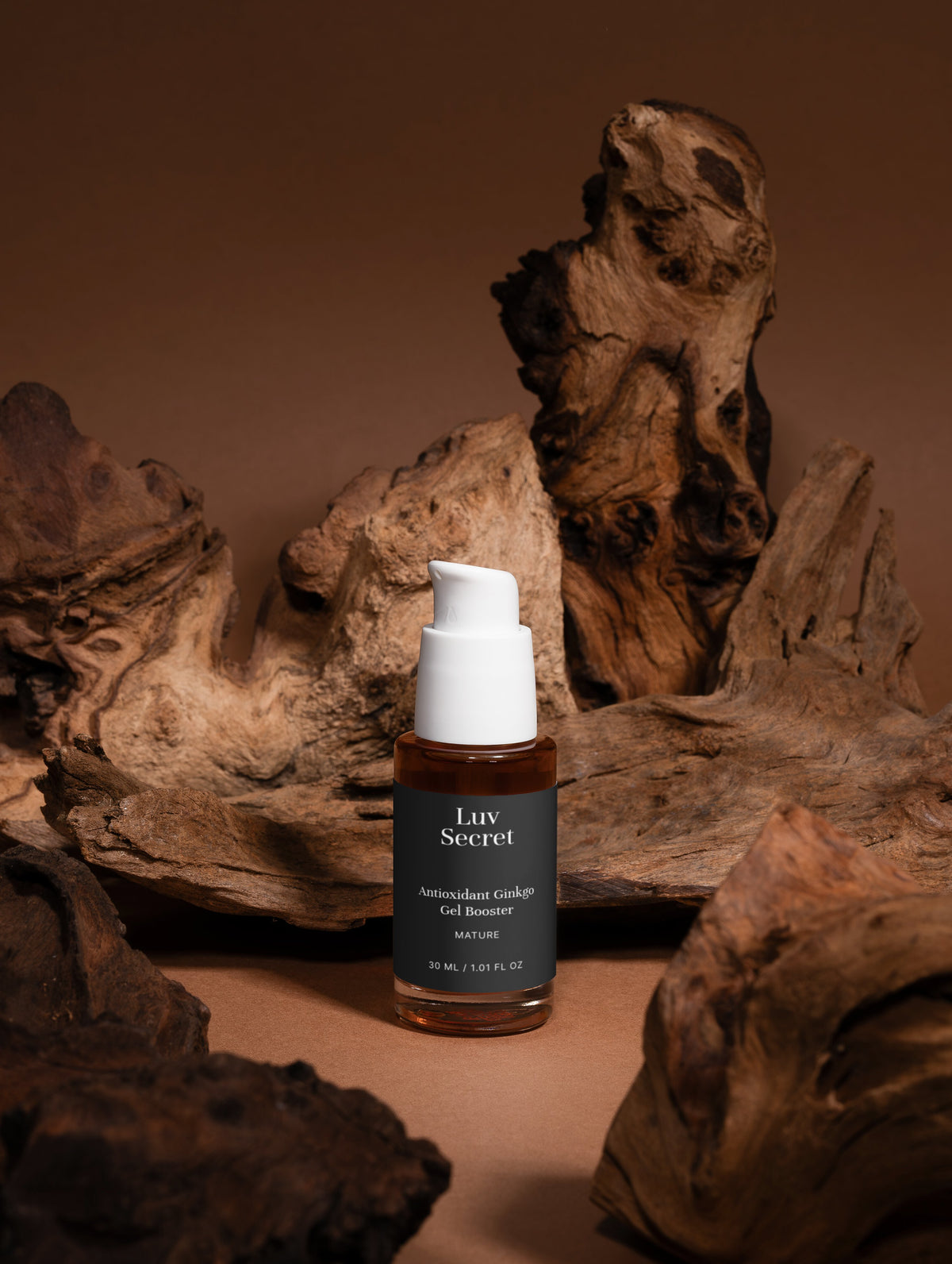 The Shield : Antioxidant Ginkgo Gel Booster