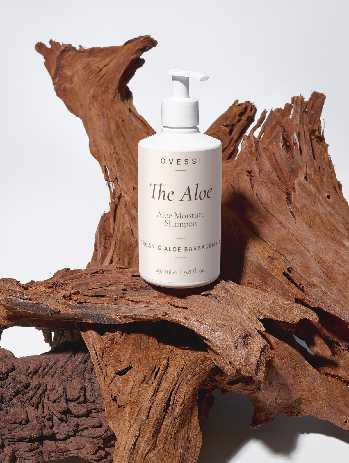 The Aloe : Aloe Moisture Shampoo