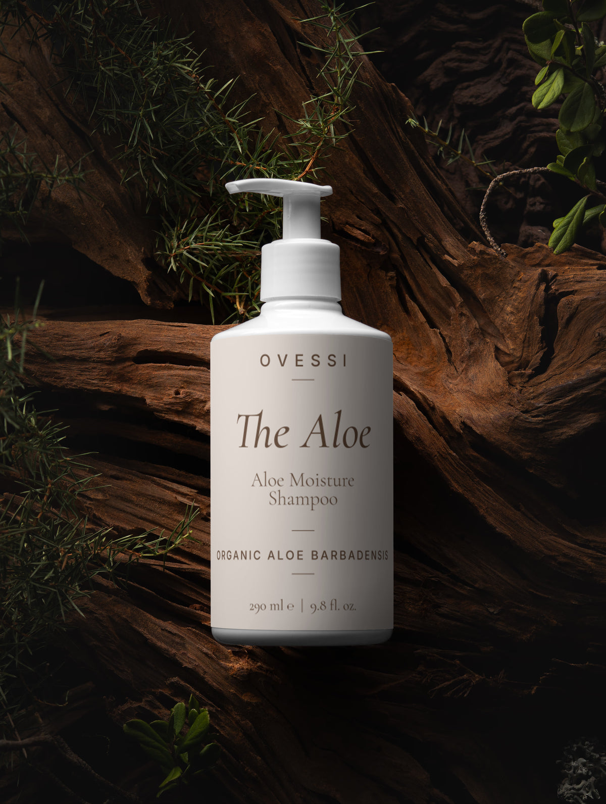 The Aloe : Aloe Moisture Shampoo